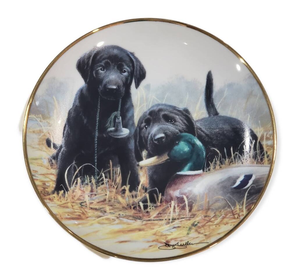 Franklin Mint BEGINNER'S LUCK Labrador Dog Collector Plate by James Killen